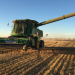 Alberta Barley Looking For Farmers To Join The Team LacombeOnline